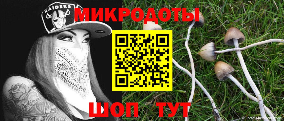 Псилоцибиновые грибы Psilocybe Белогорск