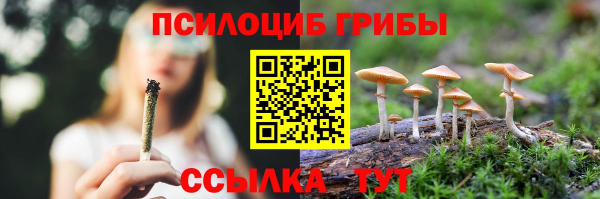 Белогорск  Галлюциногенные грибы мухоморы  Вход с VPN 